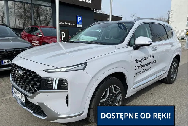 samochody osobowe Hyundai Santa Fe cena 219000 przebieg: 10900, rok produkcji 2022 z Tyczyn